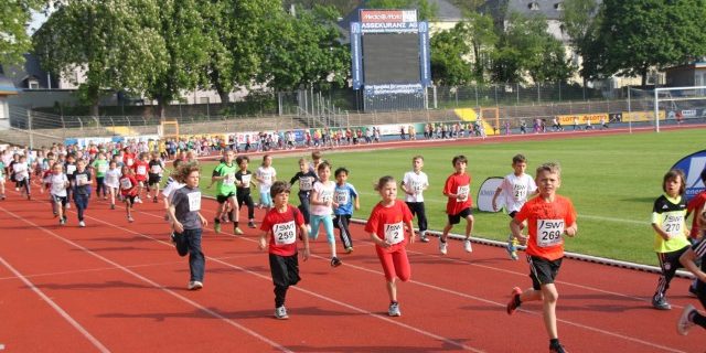 Schullaufmeisterschaft 2013